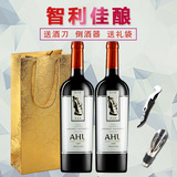 智利原瓶进口红酒双支AYOU赤霞珠干红葡萄酒送礼袋2015年份
