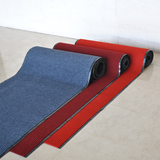 双条纹地毯pvc复合防滑吸水地毯入户进门走廊玄关蹭土脚毯可裁剪