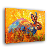 绚丽多彩色可爱小兔子抽象印象 壁画油画挂画无框画有框画装饰画