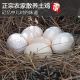 正宗云南农村散养土鸡蛋 40枚包邮