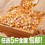 优谷坊 东北农家有机爆米花专用小玉米粒苞米碴 500g 真空包装