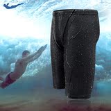 飞鱼游泳裤男士长五分泳衣专业比赛防水温泉沙滩速干紧身成人运动