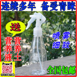 喷雾器 喷壶 可乐瓶喷头 小型气压式 洒水壶 园艺DIY多功能喷雾器