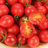 绿谷农家圣女果樱桃小西红柿千禧小番茄春桃新鲜水果蔬菜现摘3斤