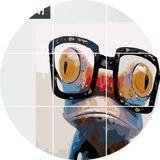 迷朗diy数字油画客厅卧室抽象青蛙动物印象派数码填色手绘装饰画
