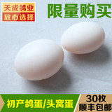 优质特级初产鸽子蛋头窝蛋高营养天成鸽业产地直销|顺丰包邮