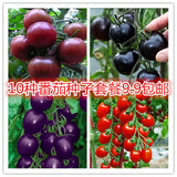 10种番茄种子套餐 阳台盆栽 庭院易种 多肉植物 鲜花小草9.9包邮