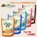 乐天宠物 美国Greenies绿的猫用洁齿骨71g*6包口味随机