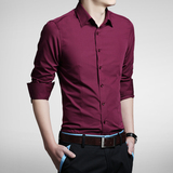 春季青年男士纯色修身长袖衬衫中年薄款纯棉格子商务正装休闲衬衣