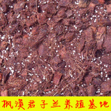 进口椰块无菌椰砖配置 君子兰专用基质 君子兰营养土椰土生根神器