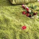 加厚丝毛地毯客厅草绿色茶几阳台卧室地毯长方形床边满铺家用定制