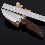 美国一体龙骨战术军刀钢BUCK巴克076麋鹿防身工具小直刀木柄战刀