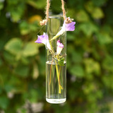 Manley田园现代简约创意直立型悬挂式水培玻璃花瓶 家具装饰挂件