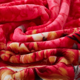 双层加厚毛毯单件珊瑚绒床单毯子单人法莱绒毯卡通双人盖毯冬季春