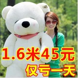 布娃娃毛绒布艺类玩具可爱超大号毛绒玩具泰迪熊1.6米抱抱熊大熊1