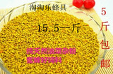 2015青海纯天然花粉 蜜蜂饲料 杂粉 喂蜜蜂专用花粉 500g 油菜杂