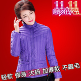 2015冬装新款羽绒内胆女士修身显瘦韩版长袖棉衣棉服衬衫特价包邮