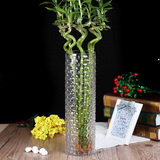 40厘米直筒藤编透明玻璃花瓶加厚大号百合富贵竹水培花器摆设