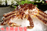 野生鲜活冷冻海鲜阿拉斯加蟹帝王蟹 冰鲜一只3.5~4斤帝王蟹