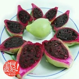 3斤精选装 海南三亚新鲜水果 有机野生仙人掌果 青皮红肉仙人果
