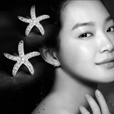 韩版新款925纯银海星镶钻耳钉 时尚优雅气质防过敏耳饰