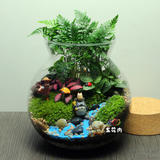 苔藓微景观 玻璃生态瓶 创意桌面绿植盆栽 龙猫DIY 精美礼物 包邮