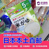 日本直邮代购和光堂婴儿宝宝辅食米粉米糊 高钙营养纯白米糊米粥