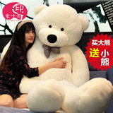 女生抱抱熊1.6米毛衣泰迪熊公仔布娃娃生日礼物 熊毛绒玩具大号