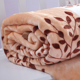 毛毯加厚珊瑚绒毯子床单夏季午睡空调毯毛巾被法兰绒盖毯夏凉被