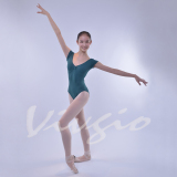 Vivgio艺尊舞蹈用品 体操服 练功服 舍宾训练芭蕾舞服 6113款