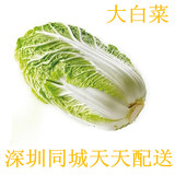 优质大白菜1斤 新鲜蔬菜 深圳同城蔬菜配送 （保证新鲜）