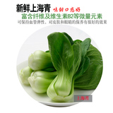 500g新鲜上海青菜 小油菜新鲜蔬菜广州配送【51家园】