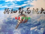 CY-19D万向球.3/4"C钢球轮.3/4D牛眼轮,带杆M6万向轴承滚珠 WD-01