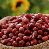 红小豆农家自产 珍珠粒红豆 豆沙原料 非赤豆 红豆薏米粥杂粮250g