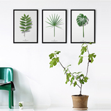 雨煊 植物有框画三联画玄关沙发背景墙客厅餐厅植物现代装饰画