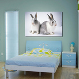 嘉人时尚家居  现代简约兔子写真卧室装饰画客厅挂画玄关单幅墙画