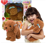 韩国代购 儿童玩具全球购 幼儿宝宝 过家家陪伴遛狗 毛绒泰迪小狗
