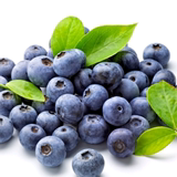 现货 新鲜智利进口有机蓝莓 蓝莓鲜果 新鲜水果4盒全国包由顺丰