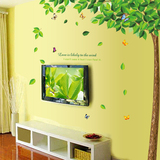 绿树林荫 室内可移除墙贴纸客厅电视墙卧室浪漫儿童创意家装饰品