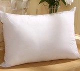 富安娜家纺 专柜正品 大衬枕芯枕头60*85靠垫芯 靠枕芯 特价销售