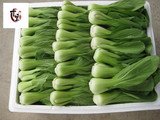 十里街坊 批发新鲜蔬菜   上海青 大青菜  露天种植不含农药