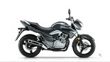 豪爵铃木新款骊驰GW250标准版炫动版双缸水冷电喷跨骑式摩托车