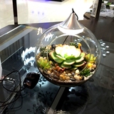 盆栽LED光源微景观送礼物女生观赏神生态瓶台灯多肉植物灯