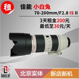 单反镜头出租佳能70-200mm f/2.8LIS II小白兔租机手摄影器材租赁