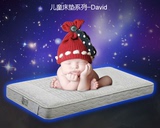 Serta美国舒达床垫David儿童床垫B1 席梦思床垫 专柜正品包邮