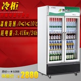 达克斯LG-502商用双门冷柜立式展示柜 家用饮料冷藏保鲜柜