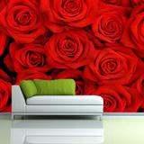 婚房玫瑰花背景墙纸壁画  沙发背景红色玫瑰婚庆壁纸 无缝整张