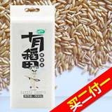 【天猫超市】十月稻田 燕麦米400g 五谷杂粮 粗粮 无添加 无染色