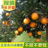 永兴冰糖橙 甜橙 现摘新鲜水果 18斤装湖南郴州 特产纯甜橙子