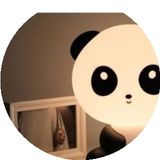 紫枫尚品可爱卡通功夫熊猫阿宝眼镜兔滑板少年台灯儿童卧室床头灯